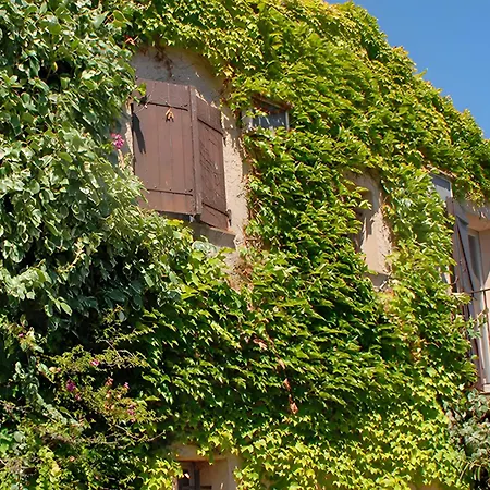 Maison De Gathen Holiday home